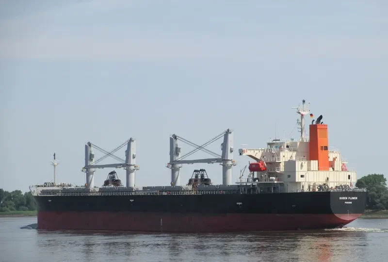 QUEEN FLOWER Bulk Carrier IMO 9673604 photo 9