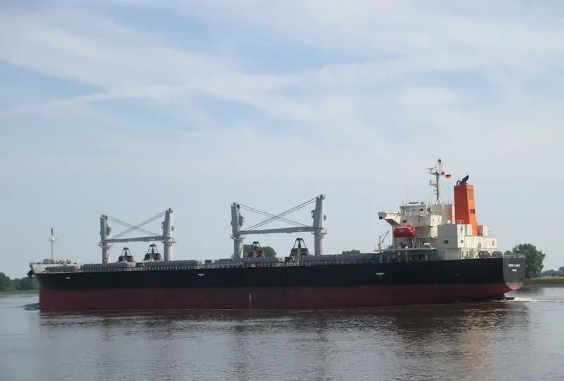 QUEEN FLOWER Bulk Carrier IMO 9673604 photo 10