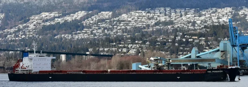 VSC POSEIDON Bulk Carrier IMO 9673757 photo 2