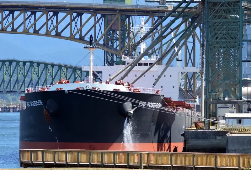 VSC POSEIDON Bulk Carrier IMO 9673757 photo 6