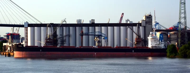 STAR NICOLE Bulk Carrier IMO 9673783