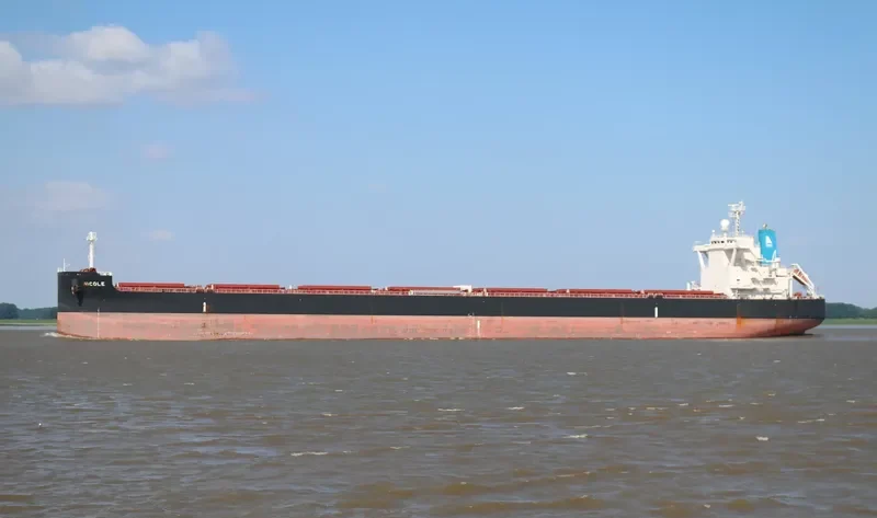 STAR NICOLE Bulk Carrier IMO 9673783 photo 3