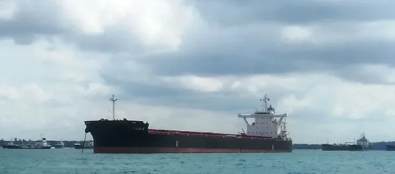 STAR NICOLE Bulk Carrier IMO 9673783 photo 4