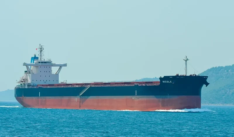 STAR NICOLE Bulk Carrier IMO 9673783 photo 6