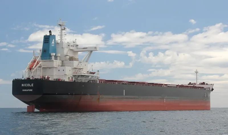 STAR NICOLE Bulk Carrier IMO 9673783 photo 7