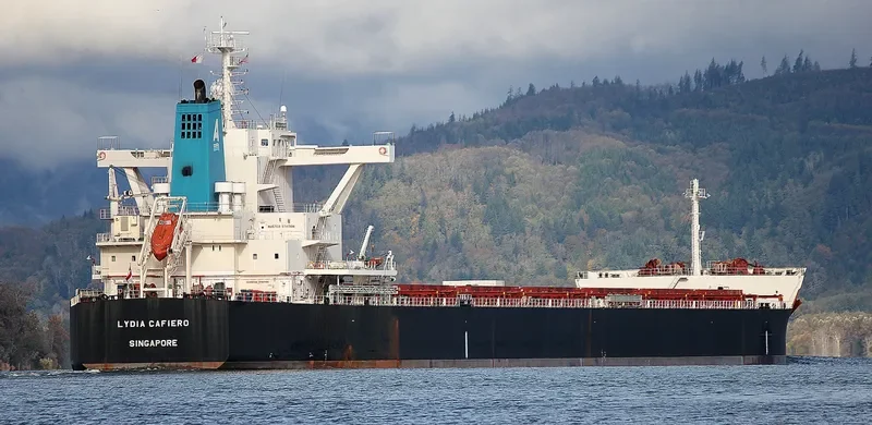 STAR LYDIA Bulk Carrier IMO 9673795 photo 2
