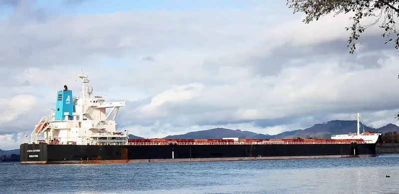 STAR LYDIA Bulk Carrier IMO 9673795 photo 3