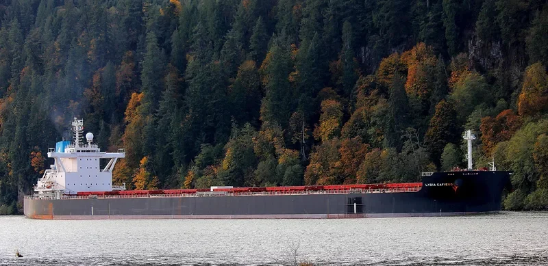 STAR LYDIA Bulk Carrier IMO 9673795 photo 5