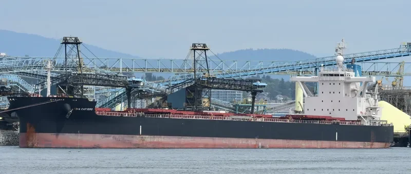 STAR LYDIA Bulk Carrier IMO 9673795 photo 7