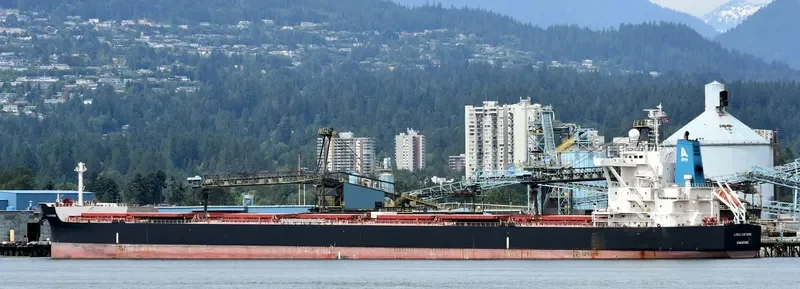 STAR LYDIA Bulk Carrier IMO 9673795 photo 8