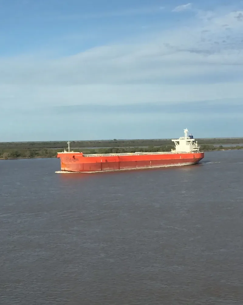 NEFELI.GR Bulk Carrier IMO 9673824 photo 4