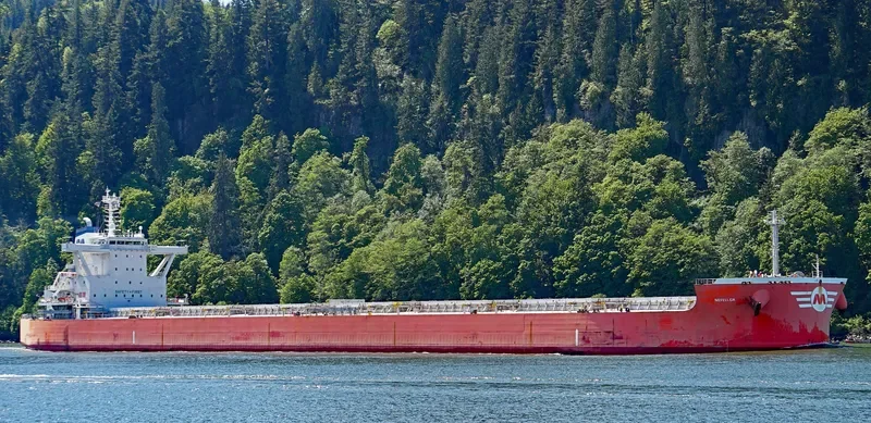 NEFELI.GR Bulk Carrier IMO 9673824 photo 10