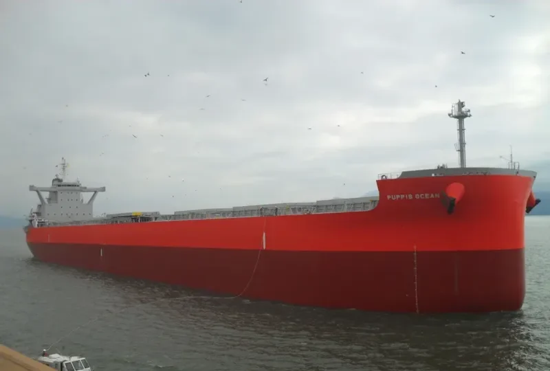 ECHO.GR Bulk Carrier IMO 9673836 photo 2