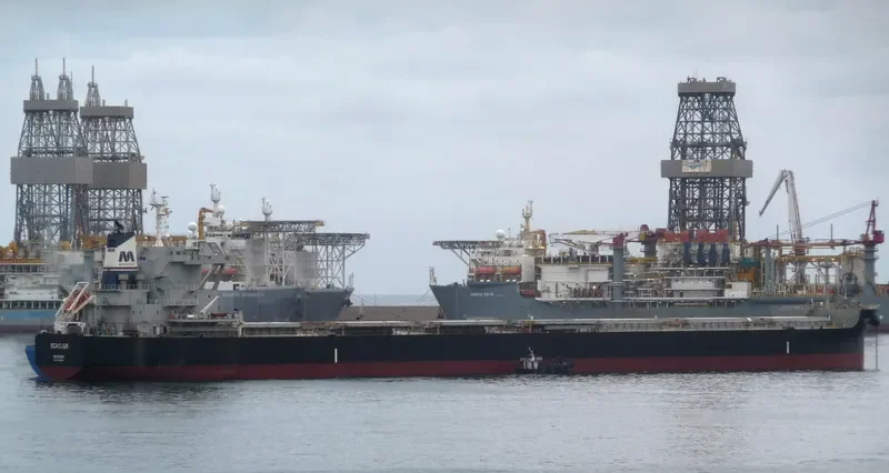 ECHO.GR Bulk Carrier IMO 9673836 photo 3