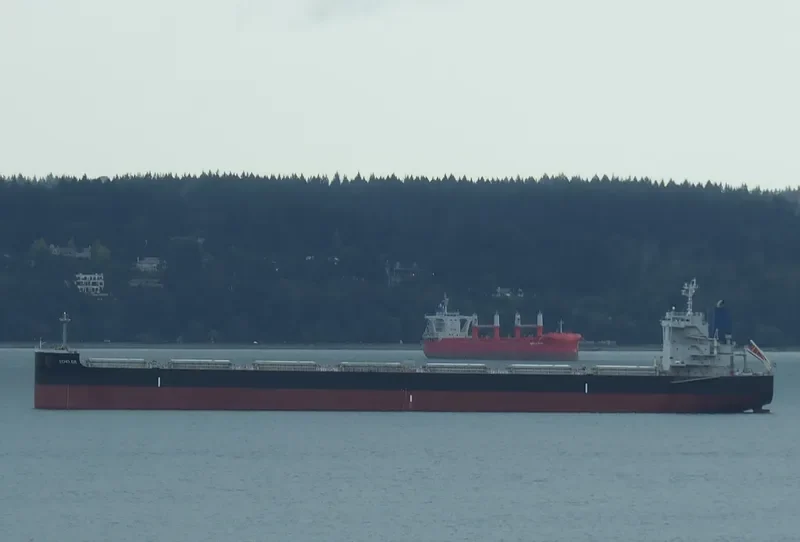 ECHO.GR Bulk Carrier IMO 9673836 photo 7
