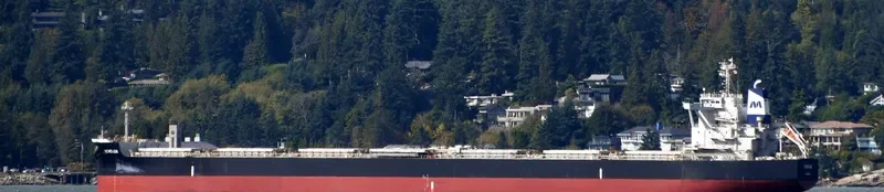 ECHO.GR Bulk Carrier IMO 9673836 photo 8