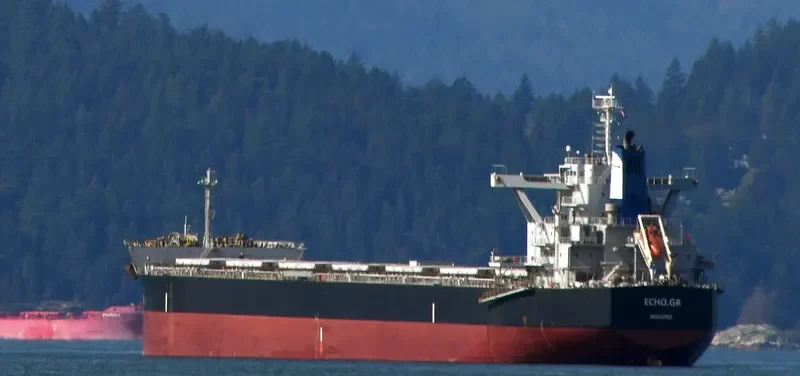 ECHO.GR Bulk Carrier IMO 9673836 photo 9
