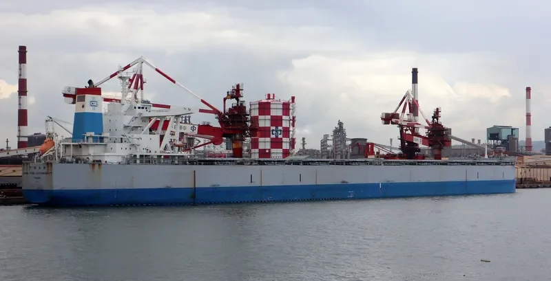 CHINA STEEL SUSTAINABILITY Bulk Carrier IMO 9673848