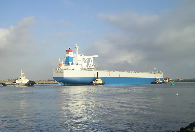 CHINA STEEL SUSTAINABILITY Bulk Carrier IMO 9673848 photo 3
