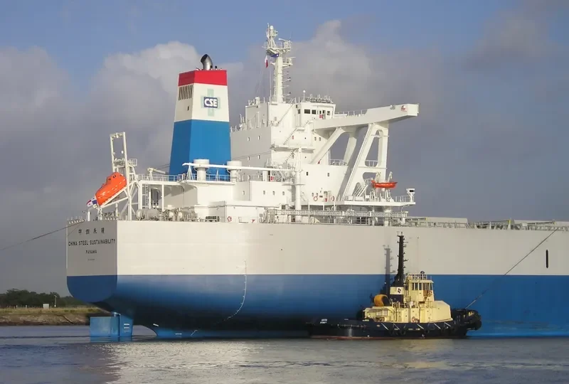 CHINA STEEL SUSTAINABILITY Bulk Carrier IMO 9673848 photo 5