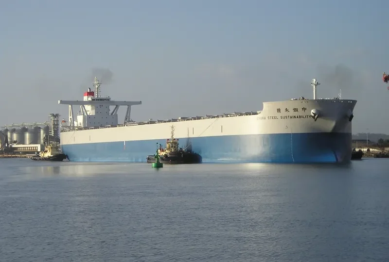 CHINA STEEL SUSTAINABILITY Bulk Carrier IMO 9673848 photo 6