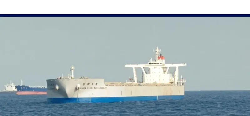 CHINA STEEL SUSTAINABILITY Bulk Carrier IMO 9673848 photo 8