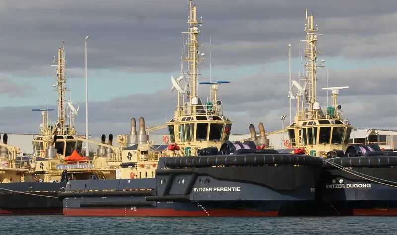 SVITZER PERENTIE General Cargo IMO 9673977