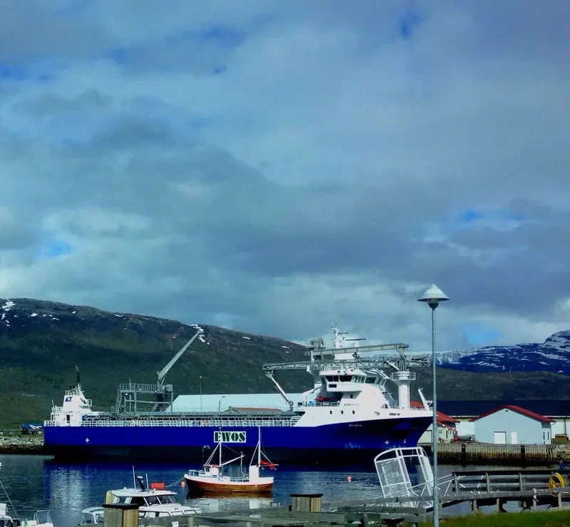 RUBIN General Cargo IMO 9674036 photo 5