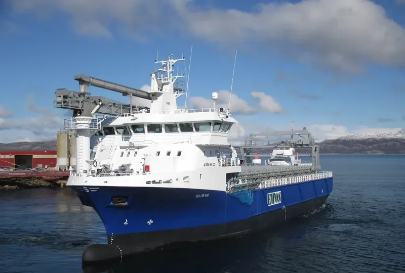 RUBIN General Cargo IMO 9674036 photo 6