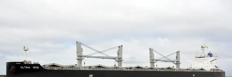 BUBBA BOOSH Bulk Carrier IMO 9674218 photo 8