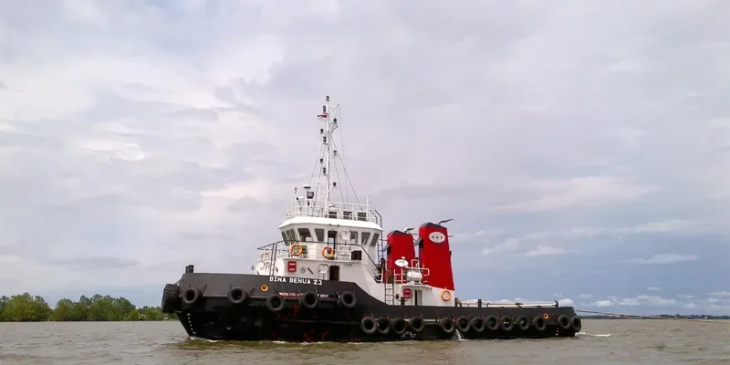 BINA BENUA 23 General Cargo IMO 9674270