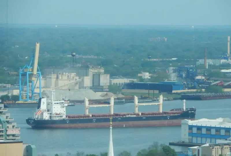 POLA ONEGA Bulk Carrier IMO 9674361 photo 5