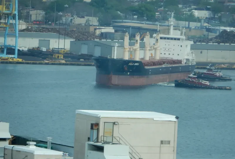 POLA ONEGA Bulk Carrier IMO 9674361 photo 6