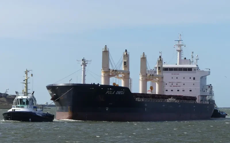POLA ONEGA Bulk Carrier IMO 9674361 photo 9