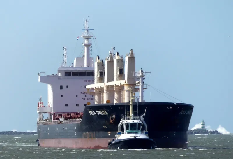 POLA ONEGA Bulk Carrier IMO 9674361 photo 10