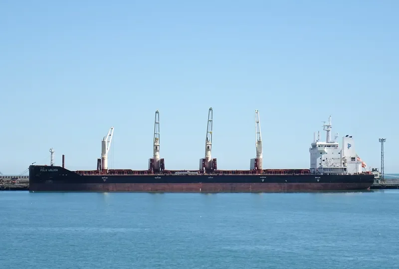 WL UGLICH Bulk Carrier IMO 9674373 photo 5
