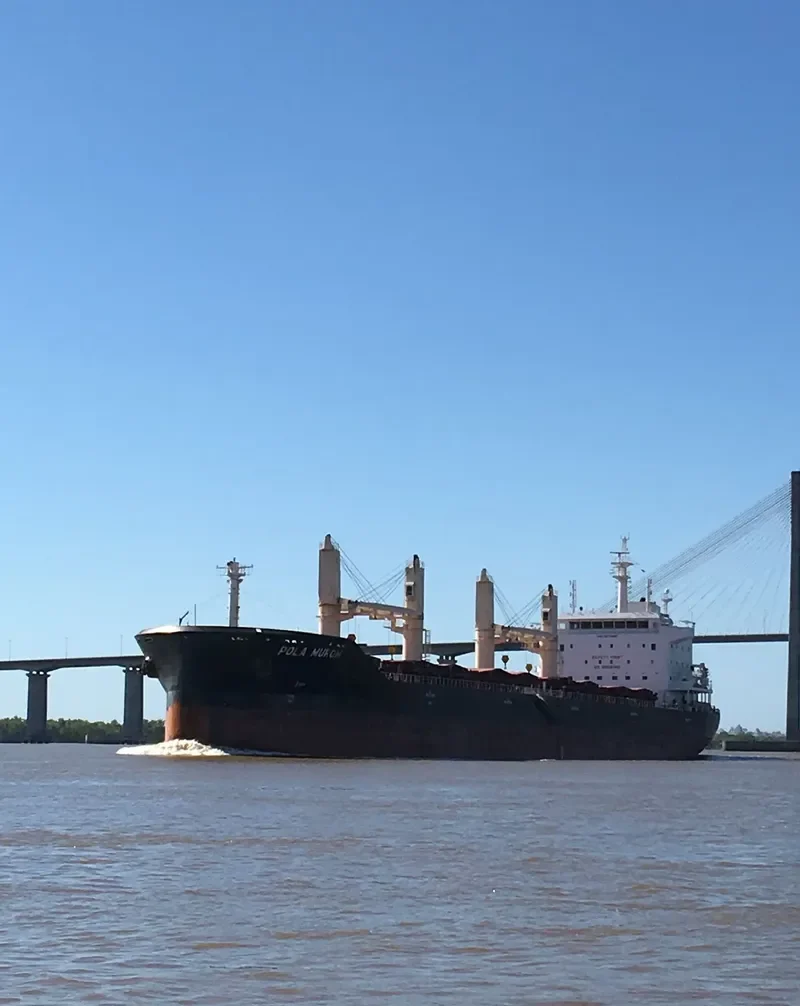 WL MUROM Bulk Carrier IMO 9674385