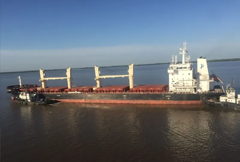 WL MUROM Bulk Carrier IMO 9674385 photo 3