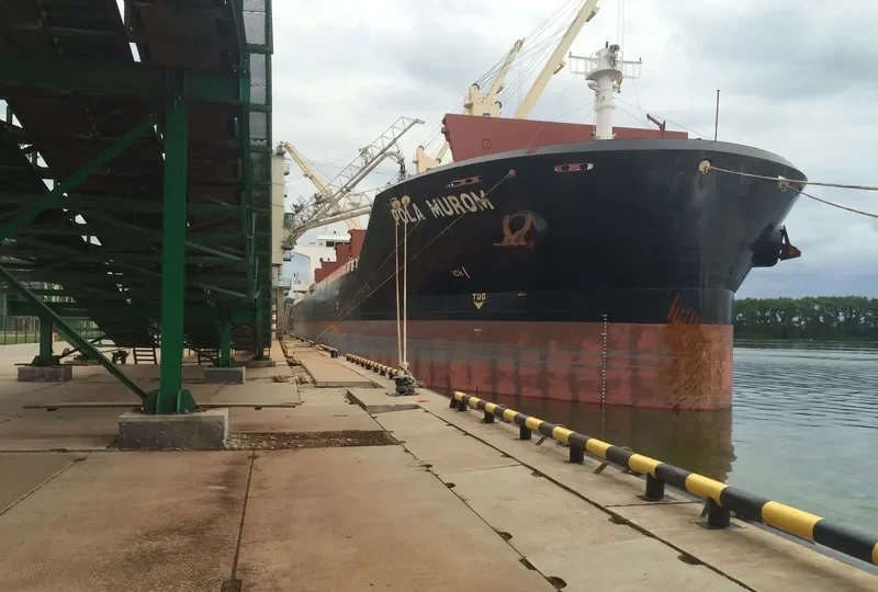 WL MUROM Bulk Carrier IMO 9674385 photo 7