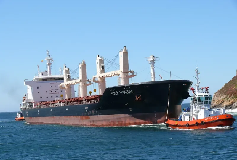 WL MUROM Bulk Carrier IMO 9674385 photo 9