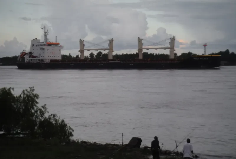 WL PALEKH Bulk Carrier IMO 9674397