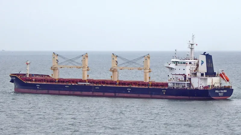 WL PALEKH Bulk Carrier IMO 9674397 photo 2