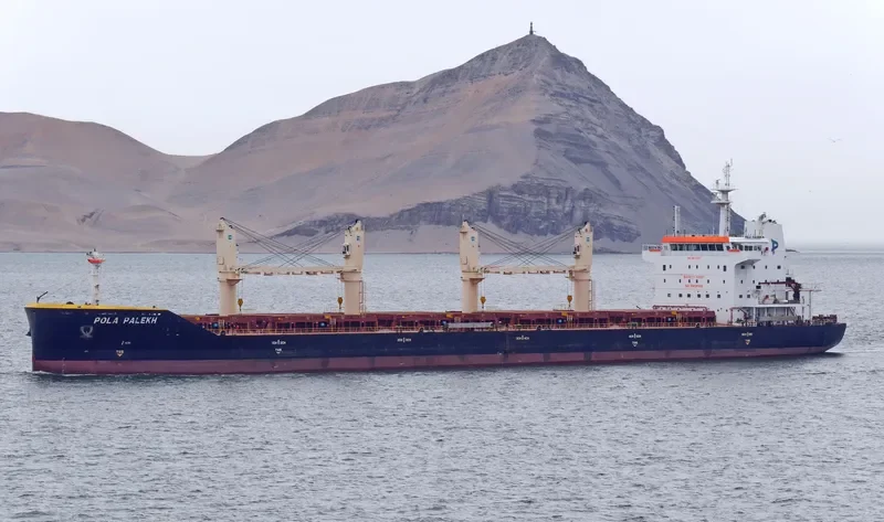 WL PALEKH Bulk Carrier IMO 9674397 photo 3