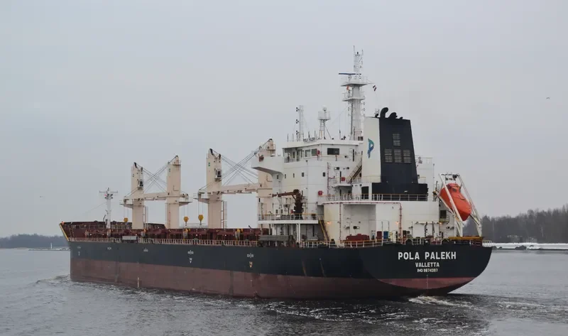 WL PALEKH Bulk Carrier IMO 9674397 photo 4