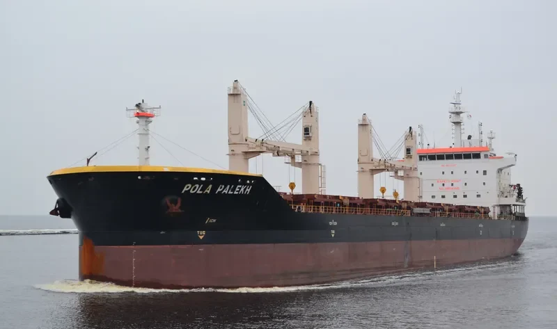 WL PALEKH Bulk Carrier IMO 9674397 photo 5