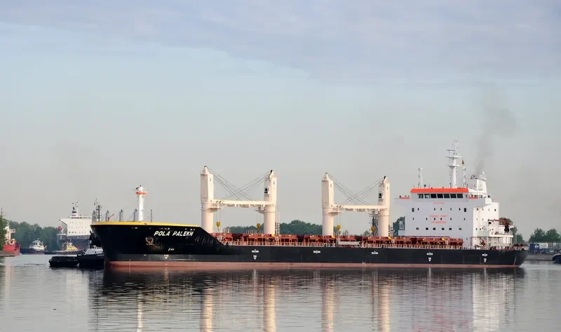 WL PALEKH Bulk Carrier IMO 9674397 photo 6