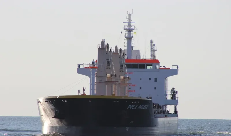 WL PALEKH Bulk Carrier IMO 9674397 photo 8