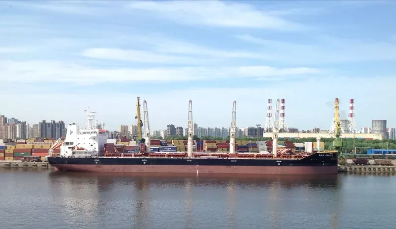 WL PALEKH Bulk Carrier IMO 9674397 photo 10