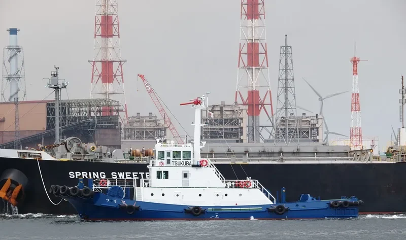 TSUKUBA General Cargo IMO 9674593 photo 3