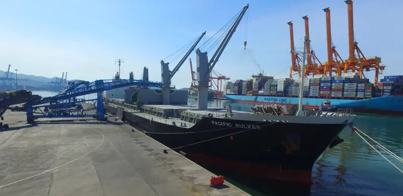 PACIFIC BULKER Bulk Carrier IMO 9674787 photo 2